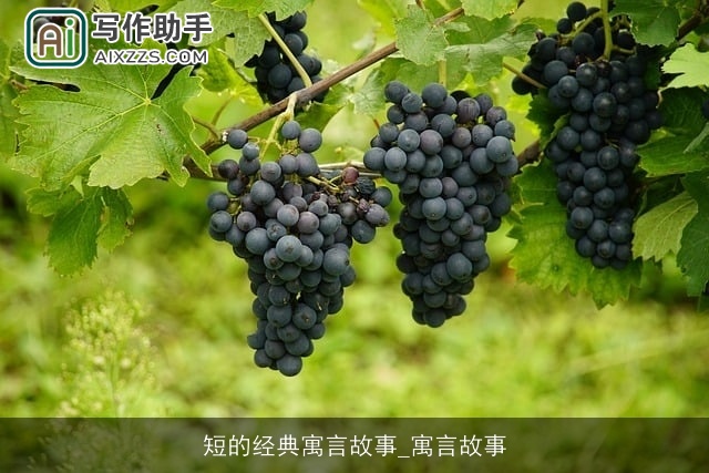 短的经典寓言故事_寓言故事