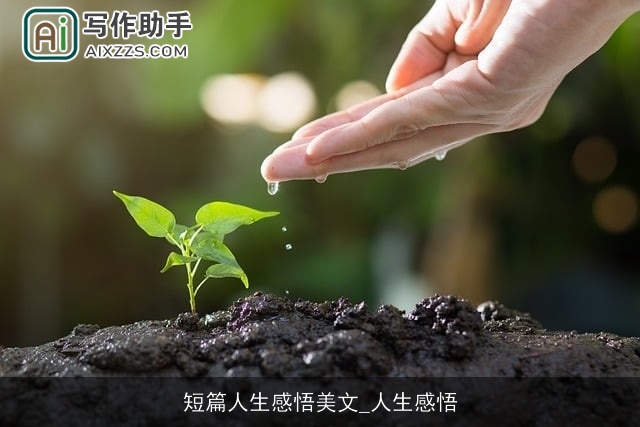 短篇人生感悟美文_人生感悟