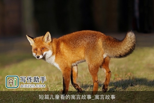 短篇儿童看的寓言故事_寓言故事