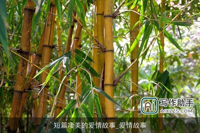 短篇凄美的爱情故事_爱情故事