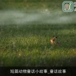 短篇动物童话小故事_童话故事
