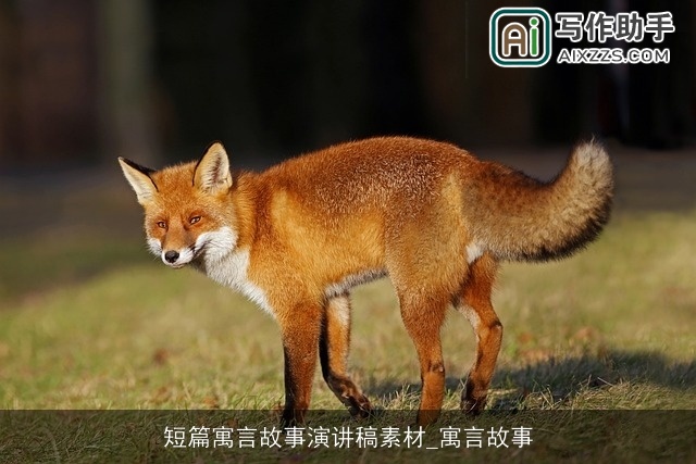 短篇寓言故事演讲稿素材_寓言故事