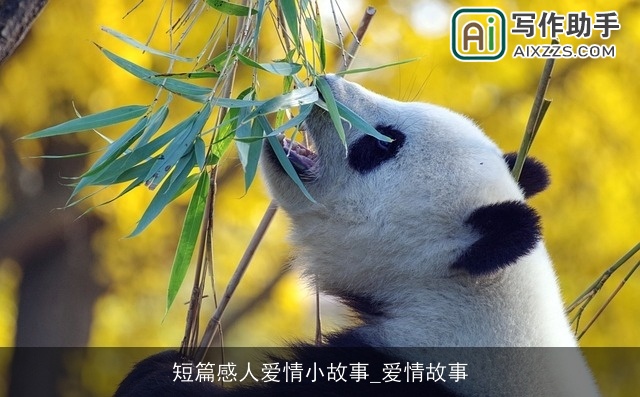 短篇感人爱情小故事_爱情故事