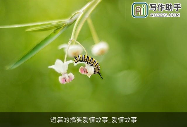 短篇的搞笑爱情故事_爱情故事