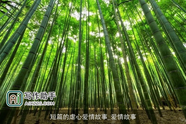 短篇的虐心爱情故事_爱情故事