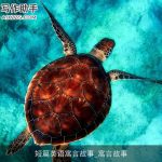 短篇英语寓言故事_寓言故事