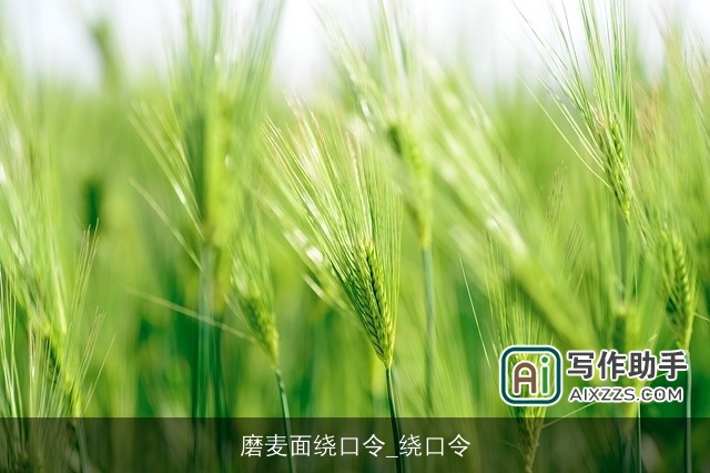 磨麦面绕口令_绕口令