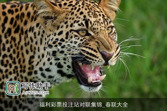 福利彩票投注站对联集锦_春联大全