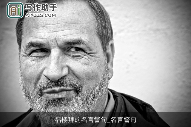 福楼拜的名言警句_名言警句