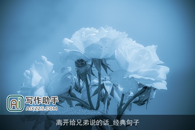 离开给兄弟说的话_经典句子