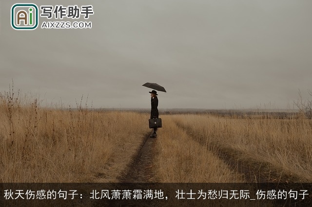 秋天伤感的句子：北风萧萧霜满地，壮士为愁归无际_伤感的句子