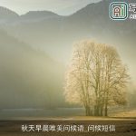 秋天早晨唯美问候语_问候短信