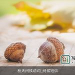 秋天问候语词_问候短信