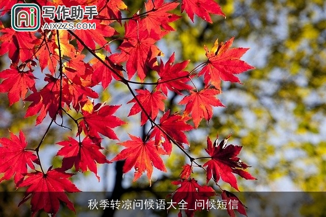 秋季转凉问候语大全_问候短信