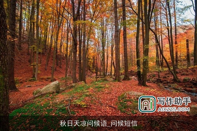 秋日天凉问候语_问候短信