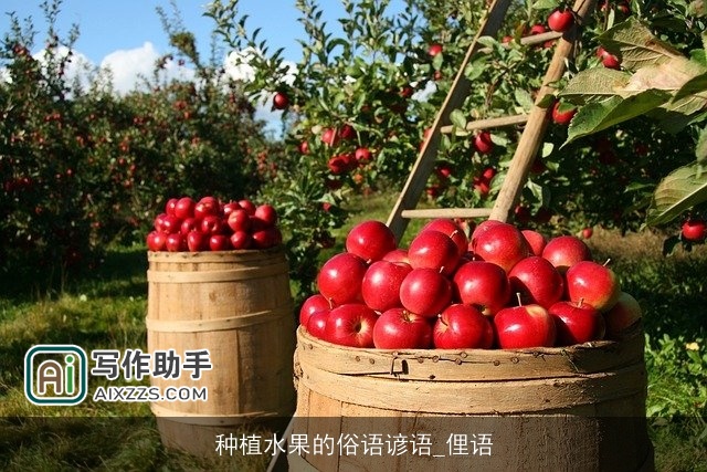 种植水果的俗语谚语_俚语