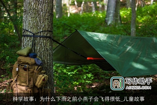 科学故事：为什么下雨之前小燕子会飞得很低_儿童故事