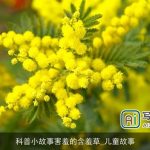 科普小故事害羞的含羞草_儿童故事
