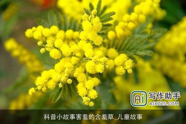 科普小故事害羞的含羞草_儿童故事