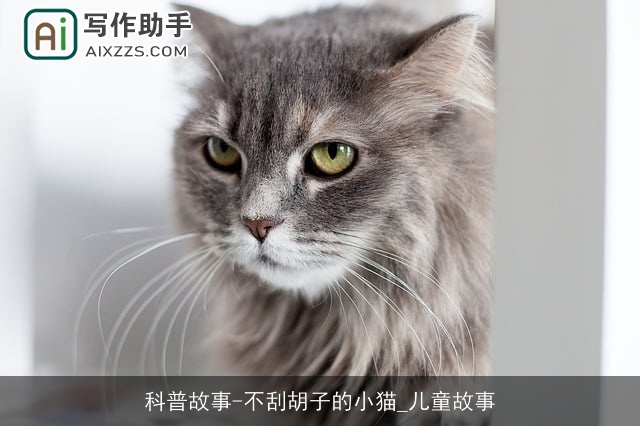 科普故事-不刮胡子的小猫_儿童故事