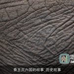 秦王灭六国的故事_历史故事