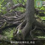 章阿端的故事传说_传说