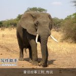 童话故事三则_传说