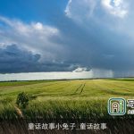童话故事小兔子_童话故事
