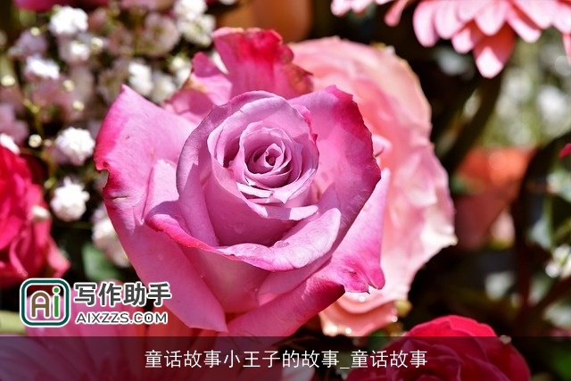 童话故事小王子的故事_童话故事