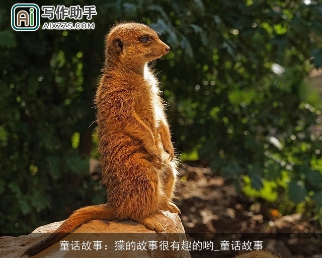 童话故事：獴的故事很有趣的哟_童话故事