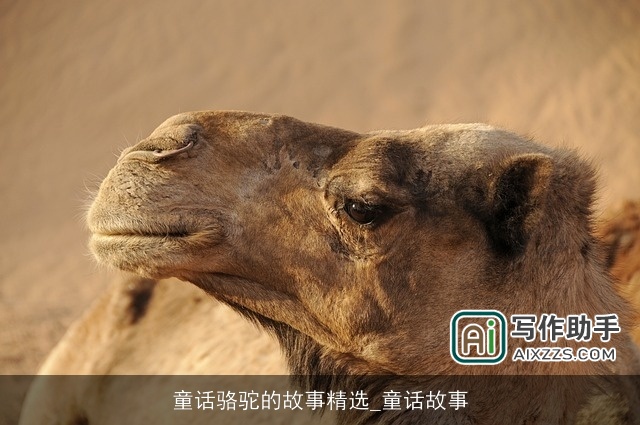 童话骆驼的故事精选_童话故事