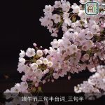 端午节三句半台词_三句半