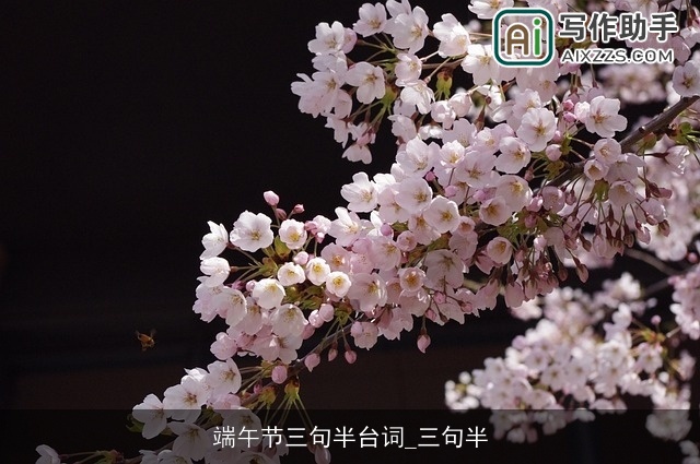 端午节三句半台词_三句半