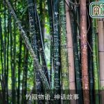 竹取物语_神话故事