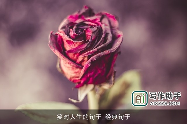 笑对人生的句子_经典句子