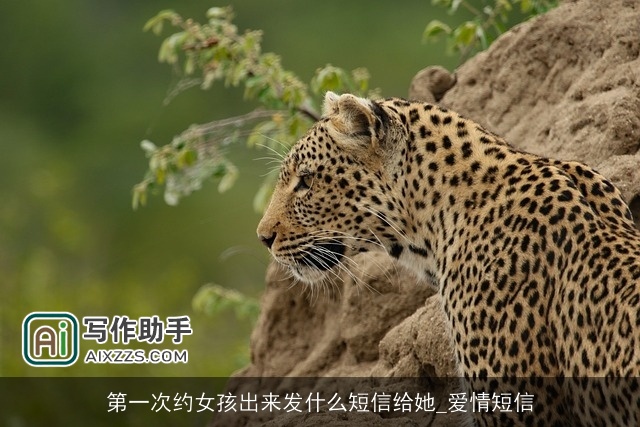 第一次约女孩出来发什么短信给她_爱情短信