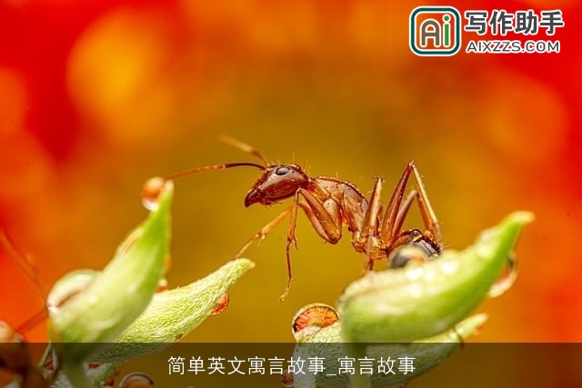 简单英文寓言故事_寓言故事