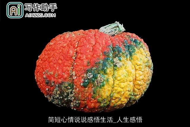 简短心情说说感悟生活_人生感悟