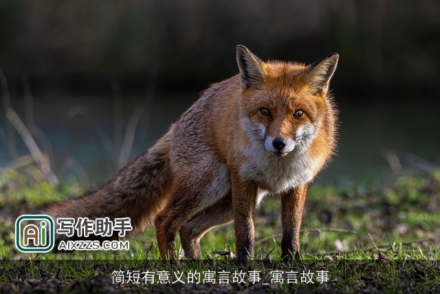 简短有意义的寓言故事_寓言故事