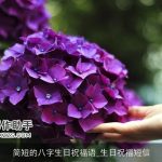 简短的八字生日祝福语_生日祝福短信