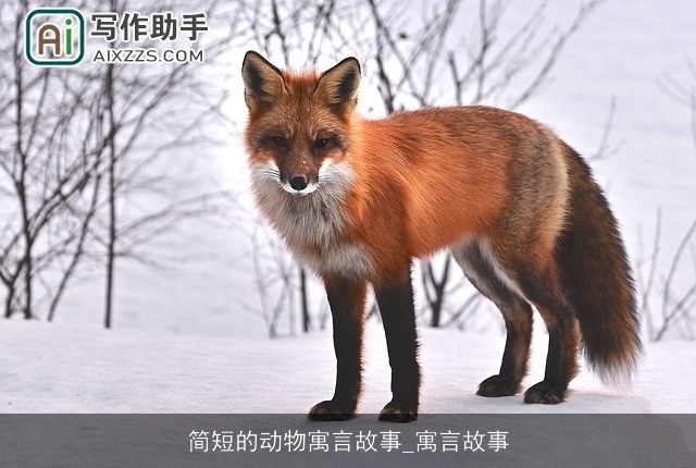 简短的动物寓言故事_寓言故事