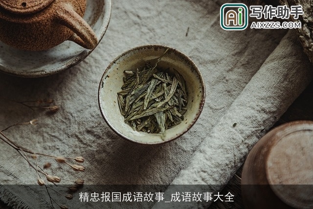 精忠报国成语故事_成语故事大全