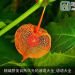 精编赞美自然风光的谚语大全_谚语大全