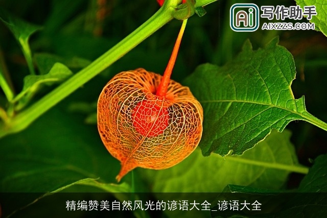 精编赞美自然风光的谚语大全_谚语大全