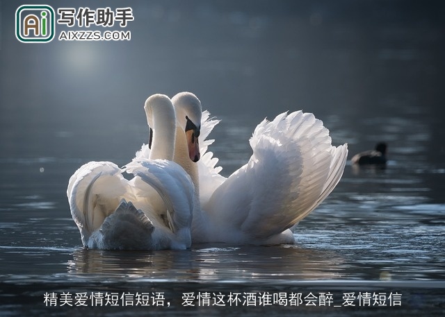 精美爱情短信短语，爱情这杯酒谁喝都会醉_爱情短信