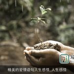 精美的爱情语句人生感悟_人生感悟