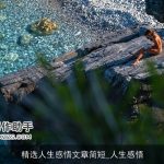 精选人生感悟文章简短_人生感悟