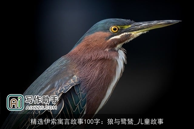 精选伊索寓言故事100字：狼与鹭鸶_儿童故事