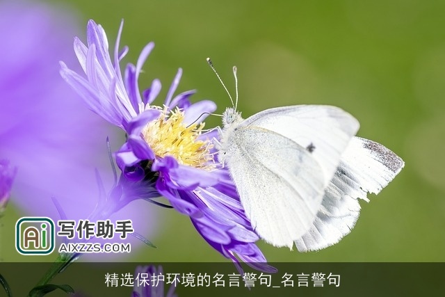 精选保护环境的名言警句_名言警句