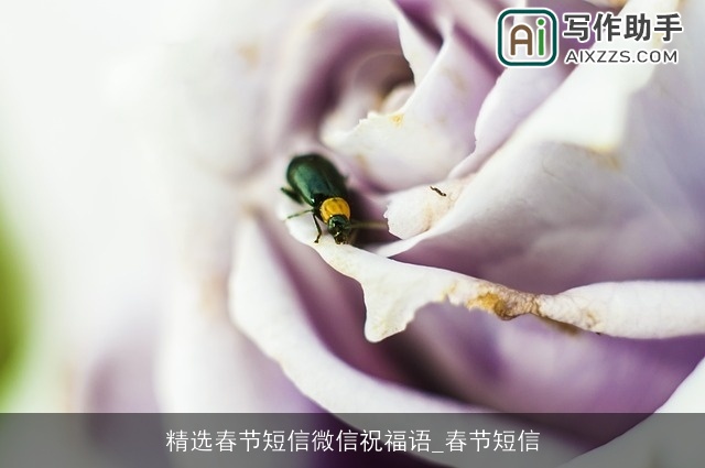 精选春节短信微信祝福语_春节短信